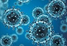 चीन में कोरोना वायरस से मरने वालों की संख्या बढ़कर 361 हुई