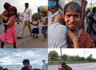 Prakash Raj ने शेयर की कंगना रनौत और प्रवासी श्रमिकों की फोटो