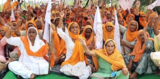 किसान आंदोलन में महिलाएं महज रोटी नहीं बना रहीं बल्कि निभा रही हैं अहम भूमिका