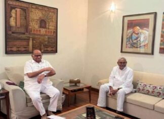बीजेपी कोई काम नहीं कर रही, विपक्ष को साथ लाना है, शरद पवार से मिले नीतीश कुमार